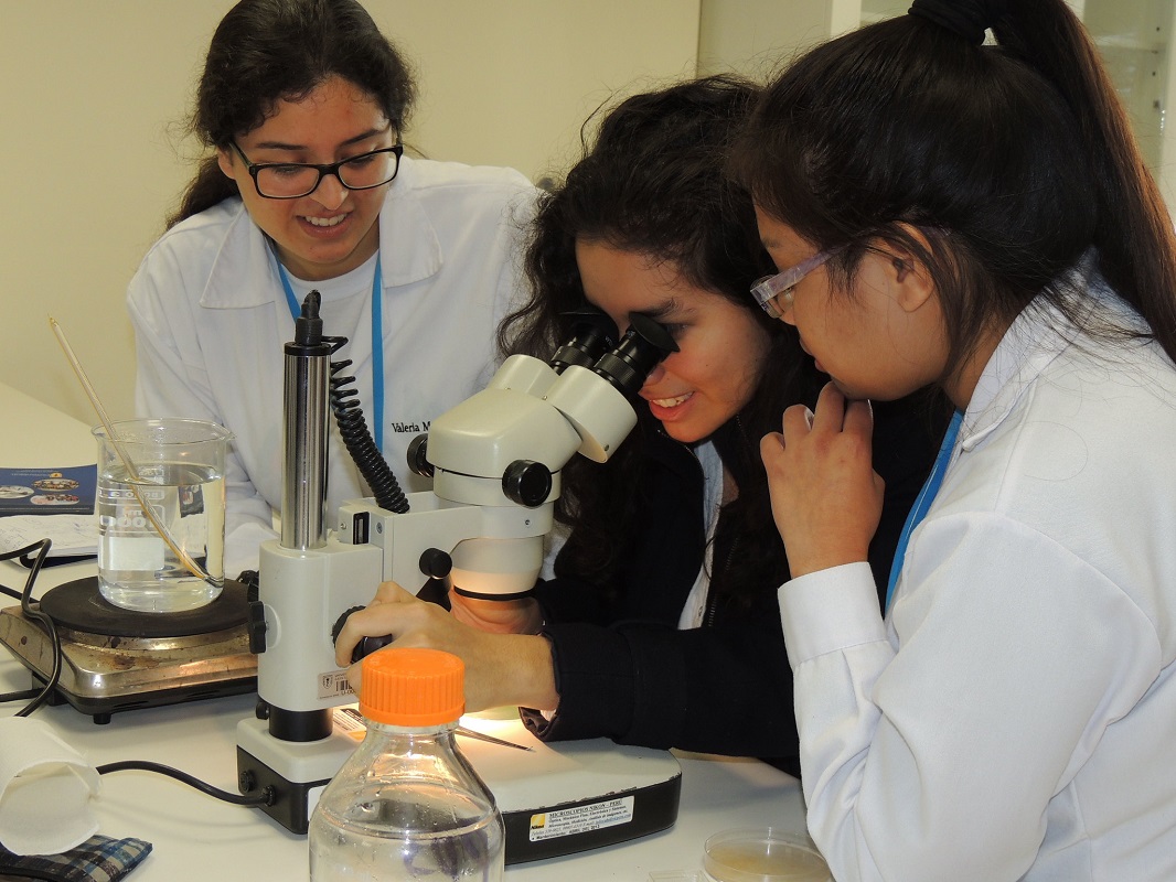 Escolares peruanos ganan primeros puestos en feria internacional de ciencia y tecnología.