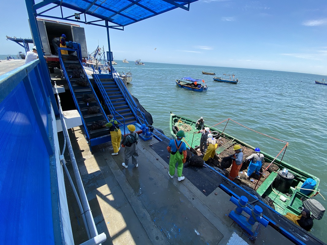 Se otorga habilitación sanitaria al desembarcadero pesquero artesanal Yacila por parte de Sanipes-Ministerio de la Producción.