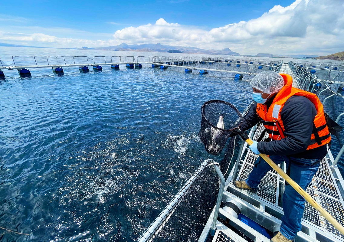 Sanipes consolidará en el 2022 su Marca de Certificación dando mayor valor agregado a los productos acuícolas.