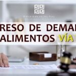 Cortes superiores de Puente Piedra-Ventanilla y Áncash ya cuentan con el enlace para presentar demandas por alimentos vía web.