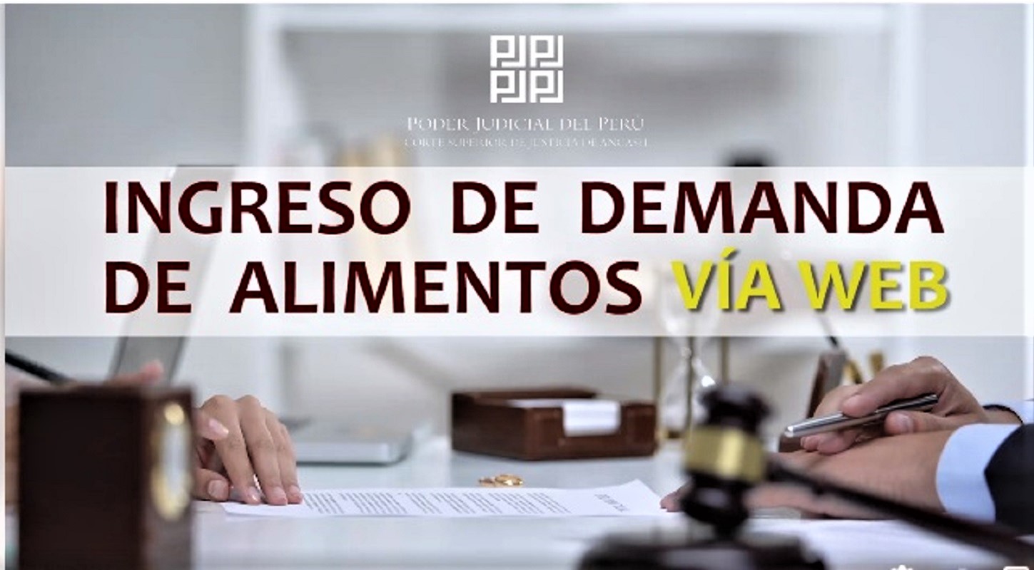 Cortes superiores de Puente Piedra-Ventanilla y Áncash ya cuentan con el enlace para presentar demandas por alimentos vía web.