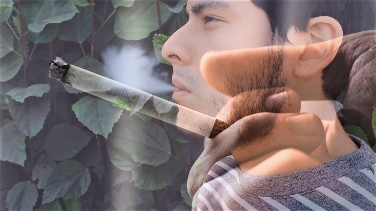 EsSalud alerta que uso de cigarrillo electrónico es una moda nociva en jóvenes, el ‘vapeo’ del mismo resulta igual o más perjudicial que el tabaco.